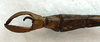 CollectionObject 1563976; 411429b1-33c4-4c19-96ec-deefb4e0c3ec: copyright J. Bresseel. male: end of abdomen, dorsal view (holotype). (CollectionObject).