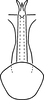 Aedeagus, ventral view on Erythridula frisoni (Ross & DeLong, 1953): Aedeagus (holotype of E. leucophyllae Hepner), ventral view. (Observation).