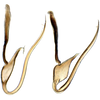 Aedeagus, lateral view: Aedeagus, lateral view. (Observation).