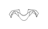 Zygoclistron superbum Rehn, 1907: Fig. 74. Epiphallus. (Otu).