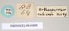 CollectionObject 1560624; 23d9c245-7722-4fab-8cdd-4135ed35bea9: copyright Natural History Museum, London. female, data labels [square label reversed] (syntype). (CollectionObject).;CollectionObject 1560625; 00609d64-931d-423a-968c-a8c5c1039d7a: copyright Natural History Museum, London. female, data labels [square label reversed] (syntype). (CollectionObject).