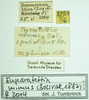 CollectionObject 1585790; b36c27ba-bbd0-4005-946a-d5a4a6c2b452: labels. (CollectionObject).
