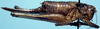 Idionotus incurvus Rentz & Birchim, 1968: female (allotype). (Otu).