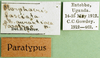 CollectionObject 1570321; 8b3ceca3-1a71-4ba4-983d-9a9992630cf5: labels (paratype of forma aurantiaca). (CollectionObject).