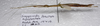 CollectionObject 1584636; 0c979464-3c6f-411c-ad7b-a9487ee23aab: (CollectionObject).