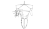 Talamancacris palustris Rowell, 1995: Fig. 7H. female abdomen tip, dorsal view. (Otu).