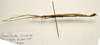 CollectionObject 1595833; ff5fcbcd-51c4-4949-9736-54c189947acb: copyright Francis Sow-Choen. male, lateral view (paratype). (CollectionObject).;CollectionObject 1595834; b38154f1-a011-4ea1-8cc0-b8a916dc29d2: copyright Francis Sow-Choen. male, lateral view (paratype). (CollectionObject).