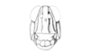 Ronderosia bergii (Stål, 1878): Fig. 1D. female, head, frontal view. (Otu).