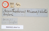 CollectionObject 1561336; NHMUK(SF IMPORT DUPLICATE) 844716, 8f2f0cbb-2369-4b48-8f04-7471200ee3f3: copyright Natural History Museum, London. male, data labels (holotype). (CollectionObject).