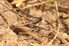 FieldOccurrence 3830; b15bf292-ee04-4b28-a8dd-233246935b5a; 2022/03/20: (FieldOccurrence).