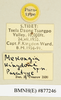 CollectionObject 1570997; a08d6ca6-114a-4821-a7b5-56b505876832: labels (paratype). (CollectionObject).
