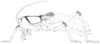 CollectionObject 1479258; cce44bce-01e6-4566-a5fc-cc09a9cf6f21, cbt016s01: pencil drawing, 13-15 October 2003. male habitus. (CollectionObject).