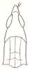 Palawanacris olivacea Ramme, 1941: Fig. 12. female head and pronotum (dorsal view). (Otu).