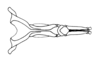Zygoclistron trachystictum Rehn, 1905: Fig. 59. endophallus, dorsal view. (Otu).