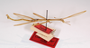 CollectionObject 1559318; 5318f452-c1cc-4d8b-ba89-4d4568f43735: copyright MNCH, Madrid. male (paralectotype). (CollectionObject).;CollectionObject 1559319; 4145f06e-6e37-4c0b-96c4-3380581d5a02: copyright MNCH, Madrid. male (paralectotype). (CollectionObject).