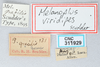 CollectionObject 2765680; 014868e6-fbc4-480b-a540-1a47f2054e78, CNCI 311929: (CollectionObject).