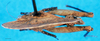 CollectionObject 1500810; 7de78705-ec03-4586-b8be-0237ffa364e4, MfN 6553: male, dorsal view (holotype). (CollectionObject).