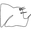 Pygofer, lateral view on Colladonus cachellus Ball, 1937: (Observation).