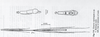 CollectionObject 1557932; ec34aa9a-9160-4072-b790-123893e703d2: copyright Paul D. Brock. male (holotype). (CollectionObject).