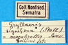 CollectionObject 1578132; b4e04049-d3cb-4fa5-aebc-b96192f00f81: labels. (CollectionObject).