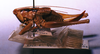 CollectionObject 1516489; e215884b-1e4f-4dc3-87f9-4d653c1f9d04: female, lateral view (allotype). (CollectionObject).