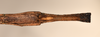 CollectionObject 1561617; bca6f1df-f224-484e-9816-40e80770a32c: copyright OUMNH. female: end of abdomen, ventral view of Bacillus artemis (holotype). (CollectionObject).