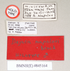 CollectionObject 1558246; 957ca7d7-326d-4ba5-bcdf-2a3ee0b6babf: copyright Natural History Museum, London. male, data labels (holotype). (CollectionObject).