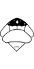Head: Head and thorax. (Observation).