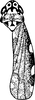 Habitus, dorsal view on Arboridia (Arboridia) okamotonis (Matsumura, 1932): Habitus, dorsal view. (Observation).