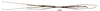 CollectionObject 1561645; cd3e9a7a-d6b3-452c-8054-6f19024be14d: copyright MNHN, Paris. male (syntype). (CollectionObject).
