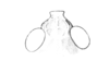 Hippiscus ocelote (Saussure, 1861): Fig. 34A. head, dorsal view. (Otu).
