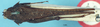 CollectionObject 1518014; 2c6b1f49-fd53-4ace-9b3a-bf172923fc79, NHMUK010924496: female, dorsal view (holotype). (CollectionObject).
