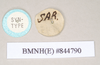 CollectionObject 1560022; NHMUK(SF IMPORT DUPLICATE) 8447890, 24e86c4f-870d-4516-96dc-84b2c0aa334e: copyright Natural History Museum, London. female, data labels of Necroscia haanii (lectotype). (CollectionObject).