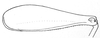 Ceuthophilus (Ceuthophilus) seclusus Scudder, 1894: Fig. 474. male, caudal tibia. (Otu).