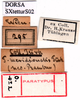 labels (syntype). Depicts CollectionObject 1530809; 14447d77-0418-4052-bf01-0f3d5f6f28fb, a CollectionObject.