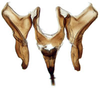 Connective: Selenocephalus planus, connective, styles, and aedeagus, ventrallly. (Observation).