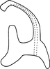 Aedeagus, lateral view on Erythridula meridiana (Hepner, 1977): Aedeagus (paratype), lateral view. (Observation).