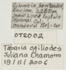 CollectionObject 1496565; 2a8db18f-5b52-4bb0-9e27-6e4b2807a00b: (CollectionObject).