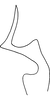 Stylus: Stylus (paratype). (Observation).