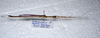 CollectionObject 1576279; 26e0c6f5-b51b-4221-ba7c-00fc76f2cb00: copyright FRCS, Sabah. male, lateral view (holotype). (CollectionObject).