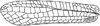Macrochiton heros Brunner von Wattenwyl, 1895: Fig. 162. female left tegmen (length 70-73 mm). (Otu).