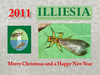 Holiday wishes, 2011 Depicts Plecoptera Burmeister, 1839, an Otu.