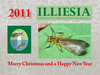 Plecoptera Burmeister, 1839: Holiday wishes, 2011. (Otu).