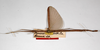 CollectionObject 1558941; a4f8c9ce-3e00-4566-a715-7e9bb44b7f56: copyright MNHU, Berlin. female (holotype). (CollectionObject).