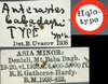 CollectionObject 1517121; b07f54e8-cb80-40a9-a257-5e3b685e7e38: labels (holotype). (CollectionObject).