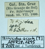 CollectionObject 1597060; 5451fe39-2fd5-4dc2-9d14-f45deda353d0: female (no type), labels. (CollectionObject).