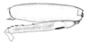 Pl. III, Fig. 17. male, right foreleg, external view. Depicts Melanonotus powellorum Rentz, 1975, an Otu.