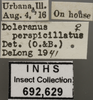 Other: !! display not done !! on Atanus perspicillatus (Osborn & Ball, 1897): Labels. (Observation).
