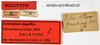 CollectionObject 1556972; 0f895bfd-be66-4ac7-a61a-c8f04619cdff: copyright MNHN, Paris. male, data labels (holotype). (CollectionObject).