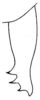 Goethalsiella tridens Hebard, 1927: Pl. XX, Fig. 12. male cercus, dorsal view. (Otu).